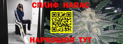 крисы Тара