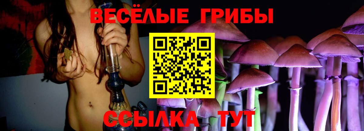 Псилоцибиновые грибы прущие грибы Нарткала